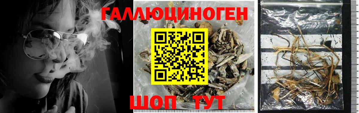 Псилоцибиновые грибы Magic Shrooms Новосибирск
